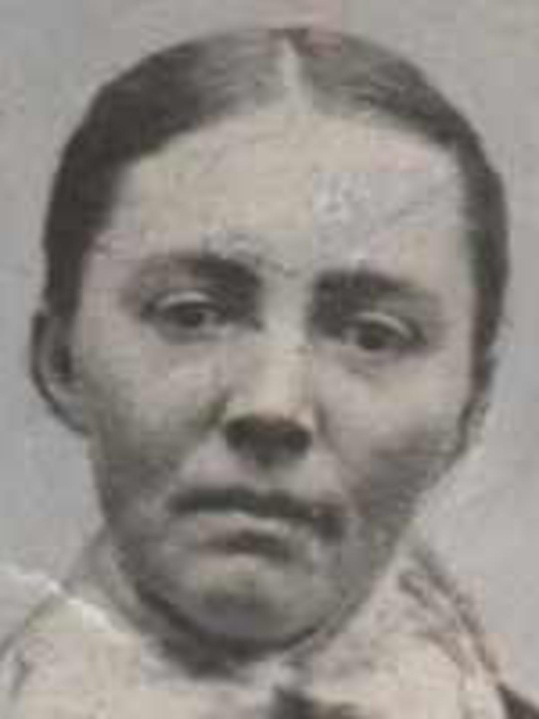 Alida Cornelia Dykman (1857 - 1910) Profile